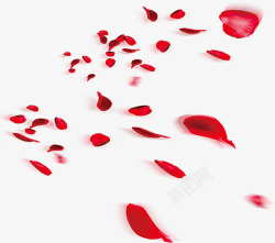 喜庆温馨红色玫瑰花瓣飞舞图案高清图片