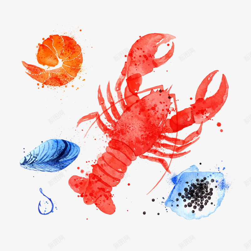 龙虾和贝壳png免抠素材_新图网 https://ixintu.com 大海 沙滩 海鲜 美味 美食 贝壳 龙虾 龙虾肉
