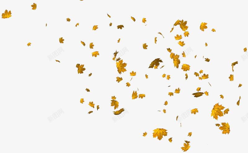 秋天落叶png免抠素材_新图网 https://ixintu.com 效果 气氛 漂浮素材 秋季 落叶 装饰