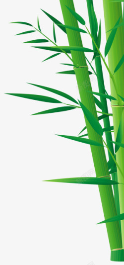 竹叶素描竹子高清图片