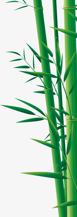 端午节绿色竹子竹叶装饰素材