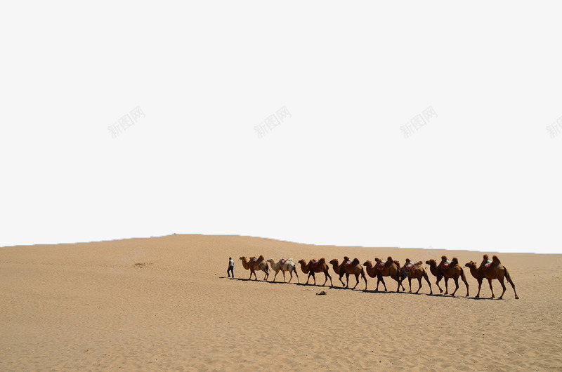 沙漠骆驼队png免抠素材_新图网 https://ixintu.com 沙漠 自然风景 风景素材 骆驼队 黄色