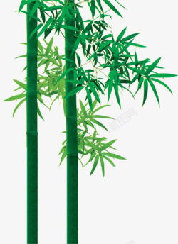绿色竹叶竹子海报素材