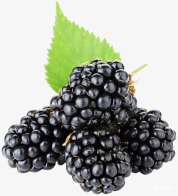 树莓水果高清紫黑色桑葚高清图片