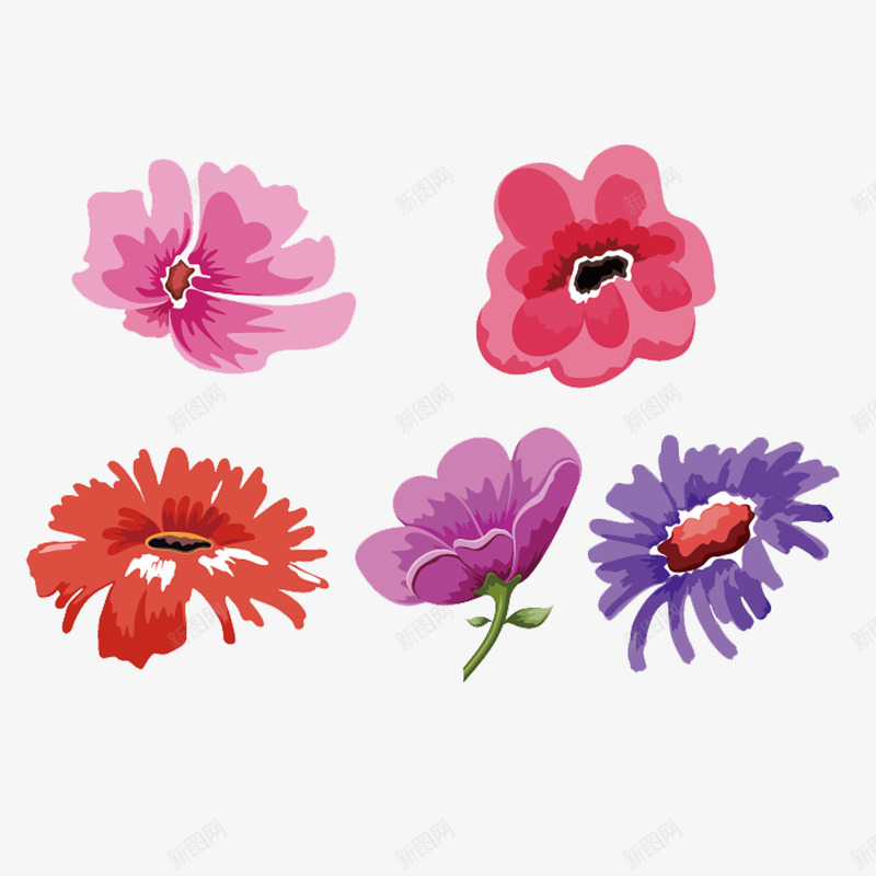 夏威夷花png免抠素材_新图网 https://ixintu.com 夏威夷 夏威夷花 奔放 异域风情 植物 热带 热情 紫色 红色 花朵 鲜艳