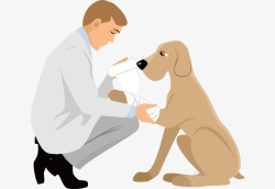 康复治疗受伤的狗狗卡通高清图片
