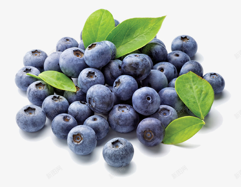 蓝莓水果绿叶营养健康png免抠素材_新图网 https://ixintu.com 健康 水果 绿叶 营养