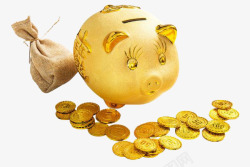 金色小猪扑满和金币素材