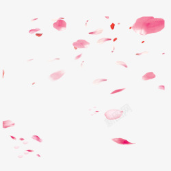 高清唯美郁金香飘落樱花花瓣元素高清图片