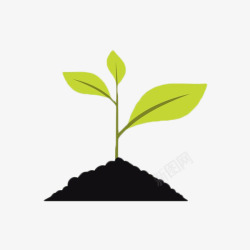 绿色植物小嫩芽土壤里生长的绿色植物高清图片