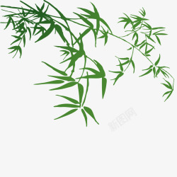 竹树翠竹绿色竹叶高清图片
