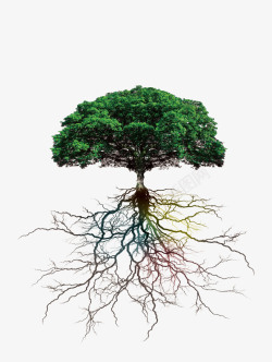 植物根系剖面大树树根高清图片