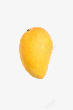黄色的芒果奶实物小台农芒果高清图片