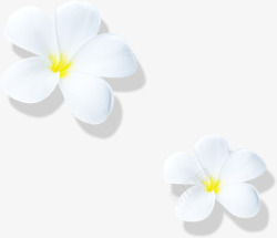 白色简约花朵装饰节日素材