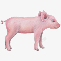 小猪佩奇背景粉红小猪高清图片