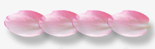 花瓣专辑png免抠素材_新图网 https://ixintu.com 桃花 花朵 花瓣