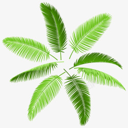 植物树叶一堆椰子叶高清图片