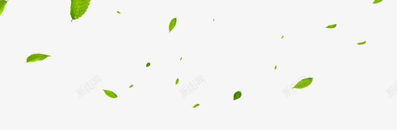 漂浮的叶子png免抠素材_新图网 https://ixintu.com 叶子 手绘 春天 漂浮 绿叶 落叶