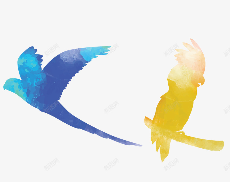 蓝黄色雏鸟png免抠素材_新图网 https://ixintu.com 蓝黄色 雏鸟 鸟类