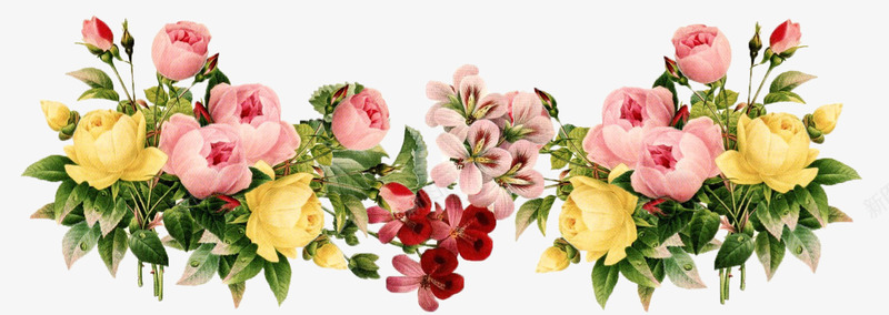创意手绘合成鲜艳的花卉植物png免抠素材_新图网 https://ixintu.com 创意 合成 植物 花卉 鲜艳