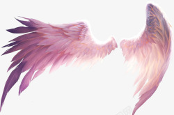 紫色羽毛漂亮的翅膀高清图片