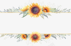葵花籽免抠素材向日葵边框高清图片