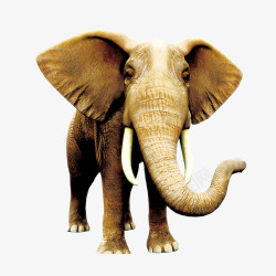 动物之间和谐相处一头大象高清图片
