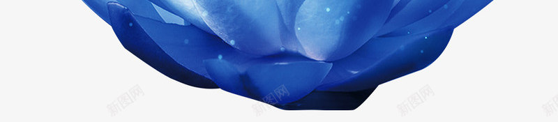 蓝色护肤品海报背景png免抠素材_新图网 https://ixintu.com ps背景素材护肤品 保湿 化妆品 护理 护肤品 护肤品海报 美白 蓝色