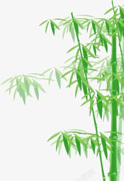 竹树翠竹绿色竹子高清图片