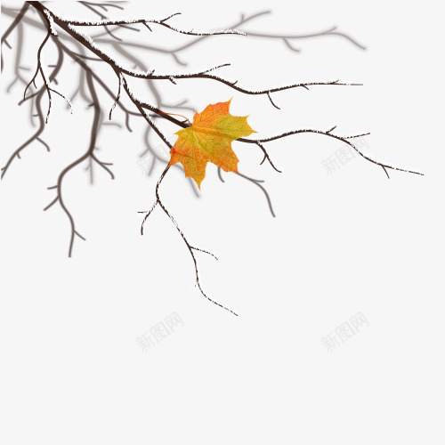 秋天的树枝png免抠素材_新图网 https://ixintu.com 叶子 枫叶 树枝 矢量叶子 装饰图 装饰画