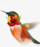 可爱飞鸟创意装饰png免抠素材_新图网 https://ixintu.com 创意 可爱 装饰 设计 飞鸟
