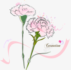 母亲节花卉粉色手绘康乃馨高清图片