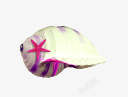 白色海螺粉色海星素材