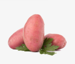 红皮红薯美味的地瓜片高清图片