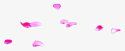 紫色香水漂浮花瓣高清图片
