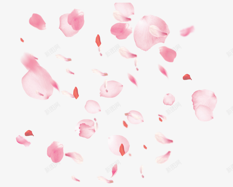 粉红色散落的花瓣图psd免抠素材_新图网 https://ixintu.com 一堆花瓣 免抠 免抠图 散落的花瓣 粉红色 花 花朵 花瓣