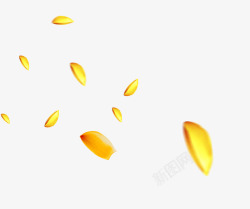 金色飘落金色花瓣漂亮飞舞高清图片
