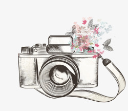 手绘素描相机花朵高清图片