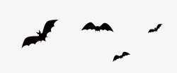 南瓜蛋挞海报黑蝙蝠高清图片