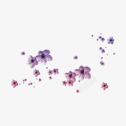 飘落小花紫色花瓣装饰高清图片