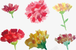 五彩斑斓花朵水彩康乃馨矢量图高清图片