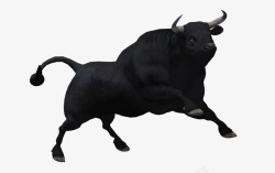 黑牛logo黑色公牛高清图片