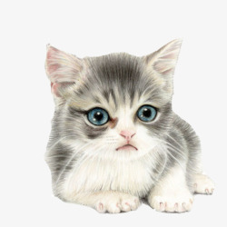 蓝眼珠猫咪水彩画片高清图片