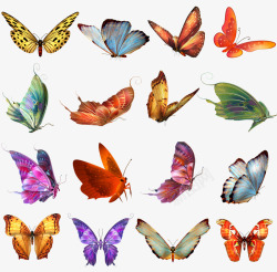 各种各样的飞舞的蝴蝶素材