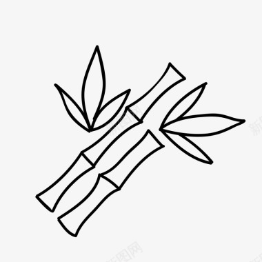 手绘线条竹子和竹叶图标图标