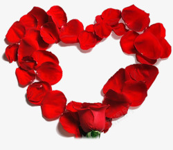 大红花朵大红色玫瑰花爱心边框高清图片