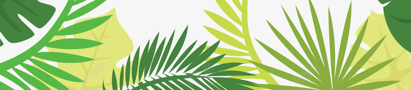 雨林植物边框png免抠素材_新图网 https://ixintu.com 大叶植物 热带雨林 绿植 边框 雨林