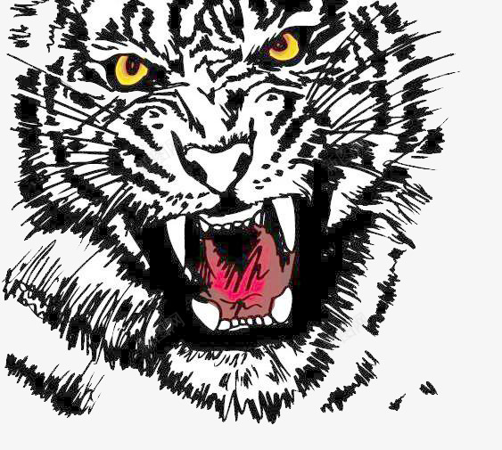 凶猛的白虎png免抠素材_新图网 https://ixintu.com 动物 可怕的 四圣兽 四大神兽之一 白色的 老虎
