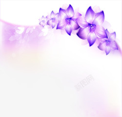 紫色绚丽花朵素材
