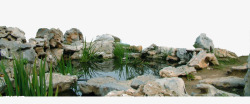 池塘月色鱼池高清图片